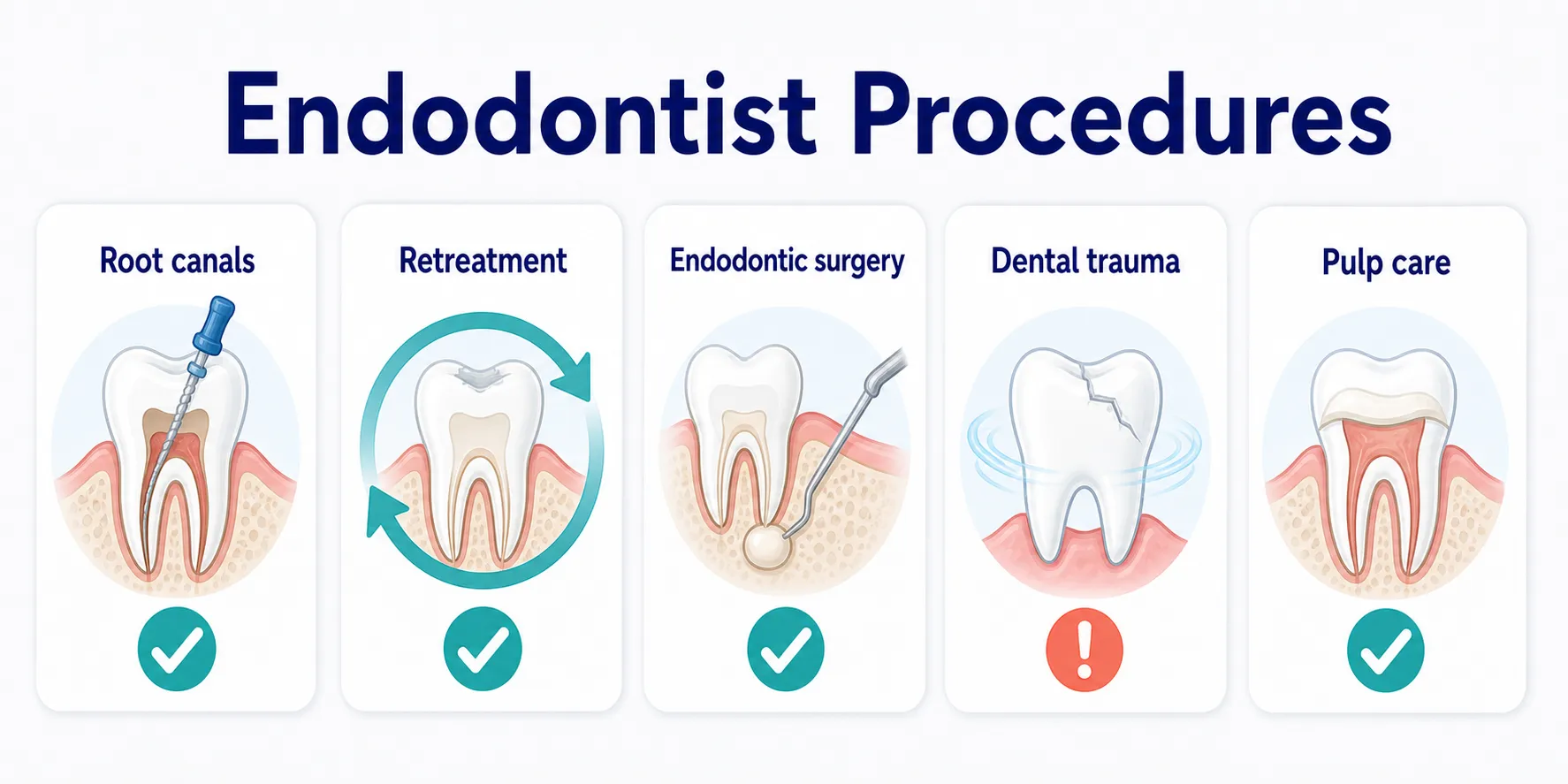 What Procedures Do Endodontists Perform specialist role map covering Root canals, Retreatment, Endodontic surgery, Dental trauma, Pulp care